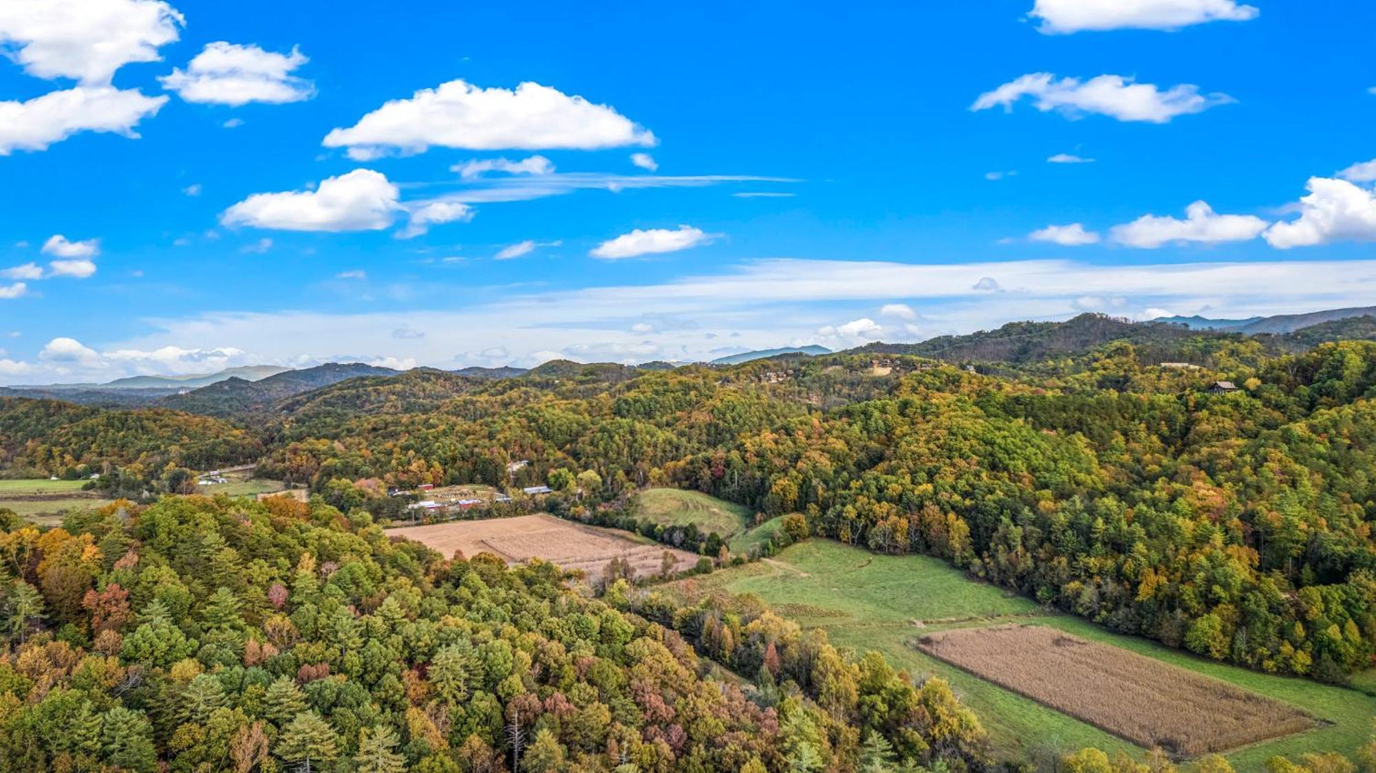 Relaxation Retreat - Pickleball Cabin - Wi-Fi, Fire Pit With Bar, Ev, Game Room, Hot Tub, Pool Access - Mins To Pf Sevierville Eksteriør billede